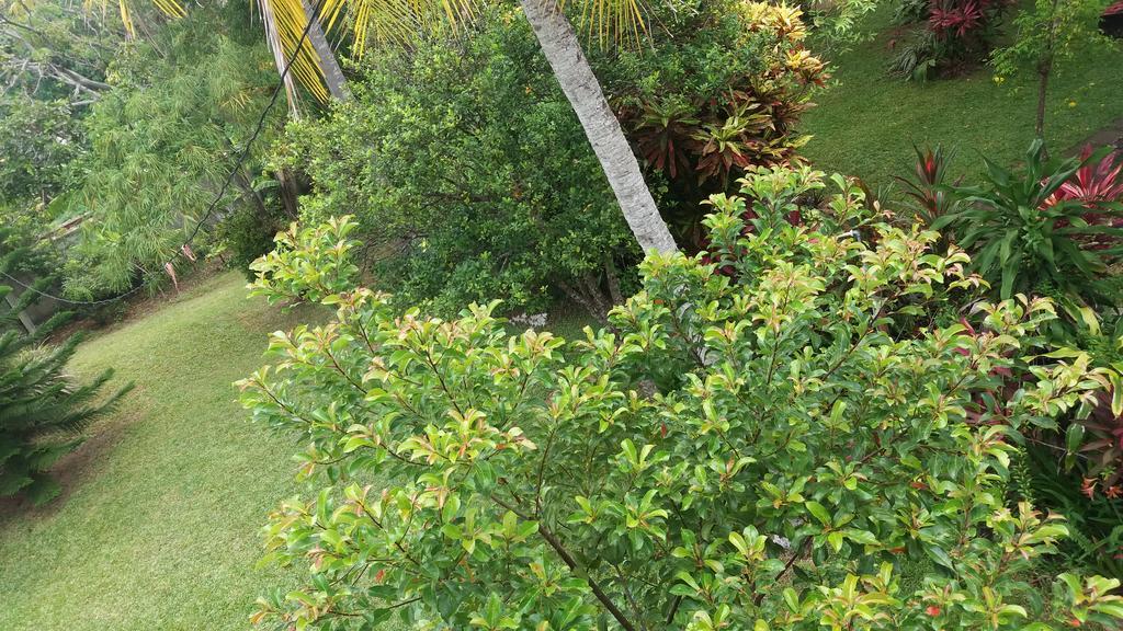 4 Seasons Guesthouse Hikkaduwa Eksteriør billede