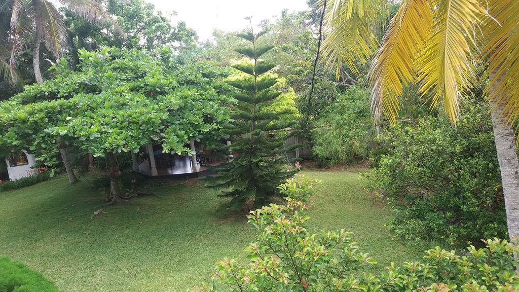 4 Seasons Guesthouse Hikkaduwa Eksteriør billede