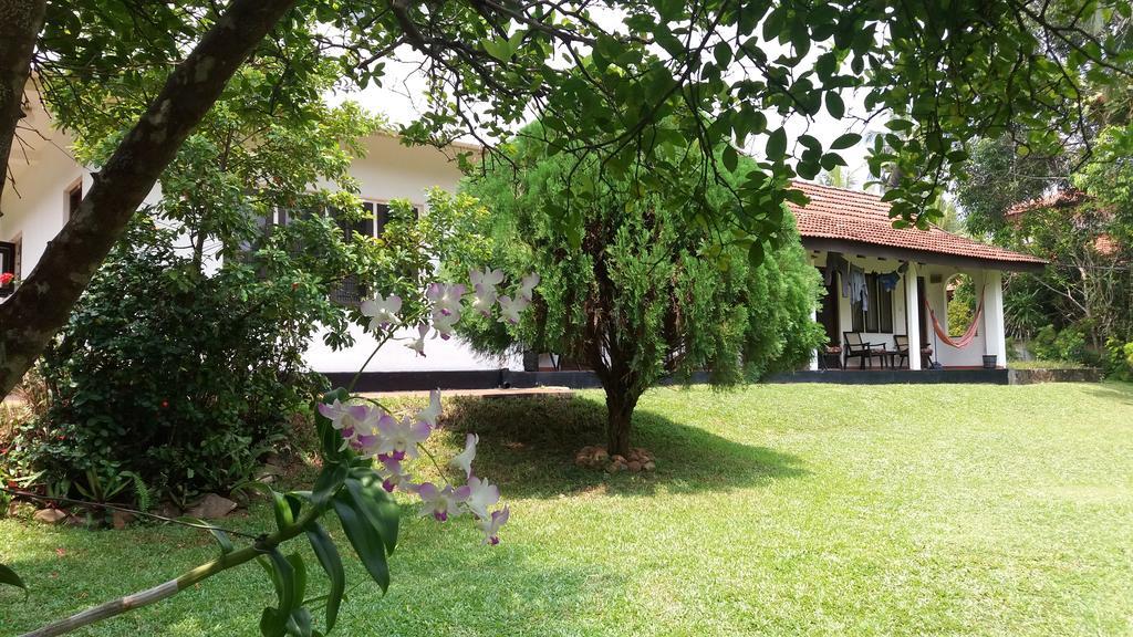 4 Seasons Guesthouse Hikkaduwa Eksteriør billede